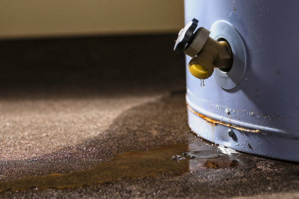 Best Water damage restoration near me  in Whiteriver, AZ