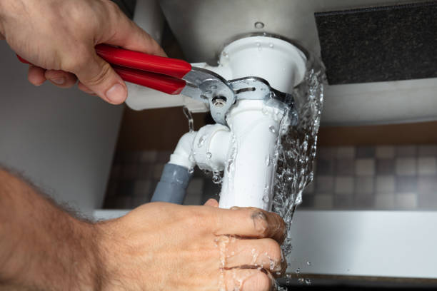 Best Residential water damage restoration  in Whiteriver, AZ
