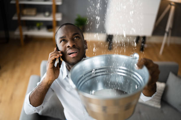 Best Mold removal after water damage  in Whiteriver, AZ
