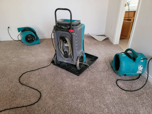 Whiteriver, AZ Water damage restoration Company