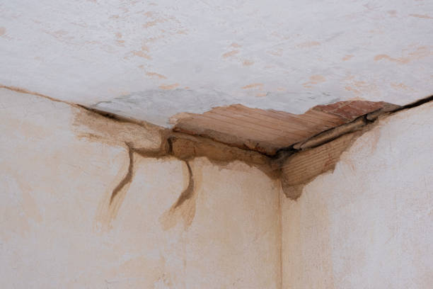 Best Sewage cleanup and water damage restoration  in Whiteriver, AZ