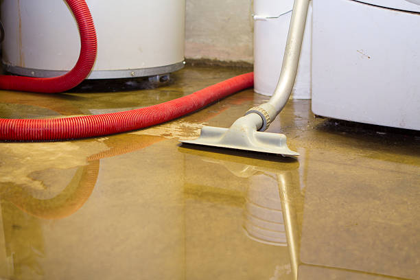 Best 24-hour water damage restoration  in Whiteriver, AZ