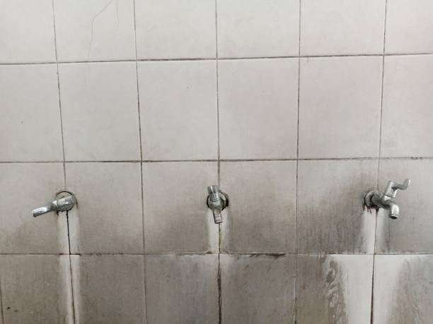 Best Ceiling water damage repair  in Whiteriver, AZ